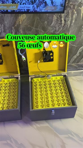 Couveuse automatique capacité 56 œufs