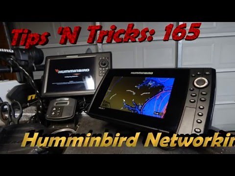 Tips 'N Tricks 165: Humminbird Networking