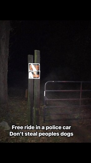 This was 10 years ago and the mission has not changed. Dont steal dogs. Dont open people’s kennels. | Army of Orange