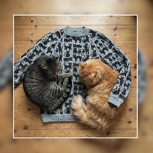✨🐱💬 When they ask where you bought it… say “I made it!” 😍🧶 Knit the Cat Sweater — easy step-by-step pattern ✨ S–3XL sizes 💛 Perfect to Gift 🎁🐾 | The Craftella.Patterns