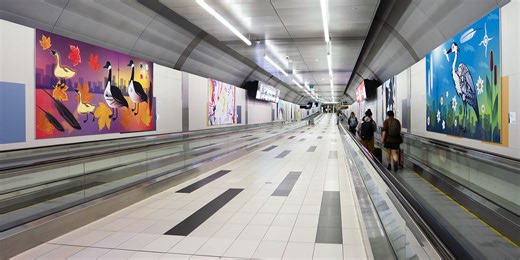 Perspectives public art program is under Lake Ontario at Billy Bishop