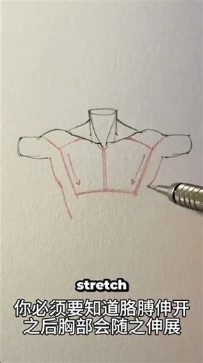 Master Pectoral Muscle Drawing in 3 Easy Steps