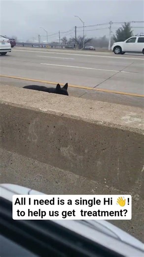 $2000 is urgently needed for Justin’s Treatment... Please donate on the link in bio !!🙏#USA #America