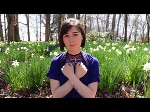 we can't be friends (wait for your love) - Ariana Grande - Sign language Cover