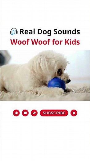 🎧 Real Dog Sounds – Woof Woof for Kids