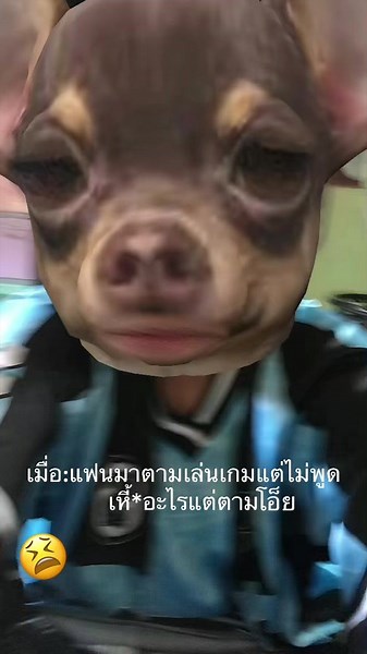 วิดีโอของ “Mail” (@pmail.anail) พร้อมเพลง เสียงต้นฉบับ - ยีนส์.