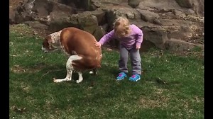 35K views · 124 reactions | Little kid tells dog: "great job pooping!" | Funny Dog Videos | Facebook