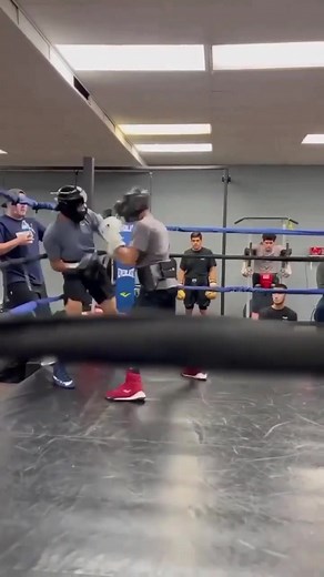 3 Punch Combination 🥊 #boxingsparring #sparringsession