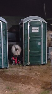 290 reactions · 23 shares | Darrian Hudson at Fear Haunted House | Sam Bailey | Facebook