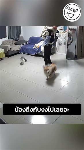 น้องถึงกับงงไปเลยอะ