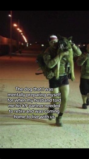 Retired K9 Dog's New Life and Rider's Concern