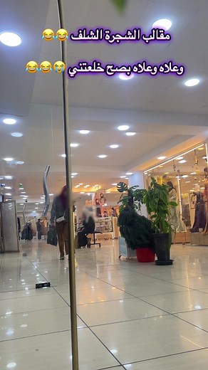 مقالب الشجرة في ولاية الشلف