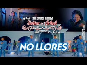 LA SÚPER BANDA SEÑOR DEL ARBOL - NO LLORES [Official Video 4K]