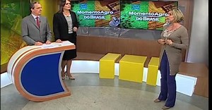 A força das mulheres no campo