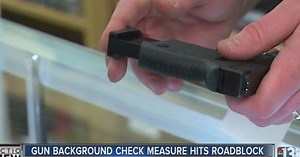 Nevada gun background check expansion hits roadblock