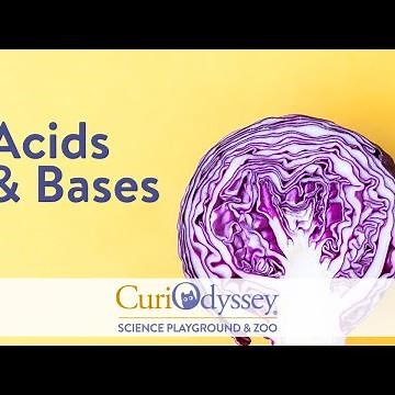 Learn About Acids and Bases (Science Experiments for Kids)