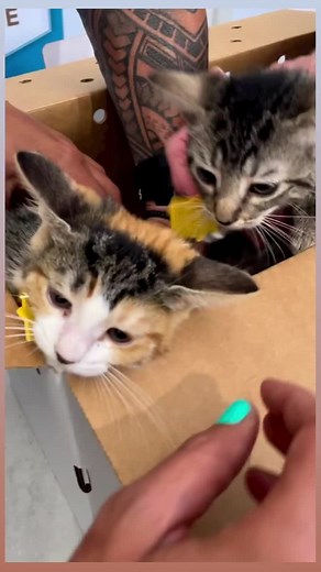 177K views · 10K reactions | Going home! ❤️ Do you remember Peter Pan...