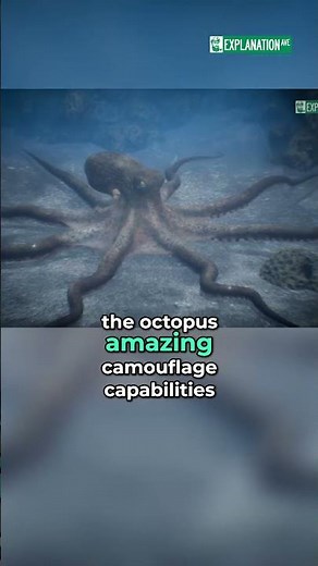Octopus Camouflage: Amazing Skin Texture Transformation! #shorts
