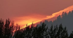 B.C. court ruling on Aboriginal title sends shockwaves through B.C. farm & ranch sector