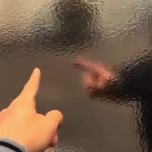 MS Office Shortcuts on Instagram: "Add Different Column Numbers in Excel with Just a Header Name | The Shortcut You Didn’t Know! #ExcelTips #ExcelShortcuts #ExcelHack #OfficeHacks #SpreadsheetMagic #ProductivityTools #DataAnalysis #ExcelTricks #WorkSmarter #TimeSavingTips 🤯 Did you know you can instantly find or add column numbers in Excel just by typing the header name? No formulas, no scrolling, no wasting time | just one hidden Excel trick that will blow your mind! Once you try this, you’ll 