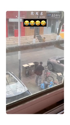 videos on Instagram: "There are many such videos that once you start watching them, you simply can’t stop laughing 😂. Every clip brings a new surprise—unexpected moments, funny reactions, and silly mistakes that make your stomach hurt from laughing 🤣. Even if you try to stay serious, the humor pulls you in and keeps you smiling from start to finish 😆. These videos are like instant mood boosters, turning an ordinary moment into one full of joy and endless laughter 😄. #reels #instagram #fyp #l