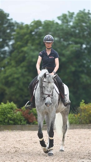 Discover our best-selling Relax Coolant 🐴❄️ A natural clay that soothes swelling & soreness in tendons, fetlocks, and shins. Relax spreads easily after exercise, washes off with cold water, and is ready to use. | Equine Products UK