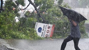 भारत की तरफ तेजी से बढ़ रहा है साल का चौथा चक्रवाती तूफान, इन राज्यों में भीषण तबाही मचा सकता है 'बुरेवी'