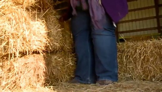 Did you know this about chickens? You learn something new everyday! | News 8 Now / News 8000