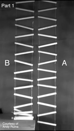 chain lader free fall experiment #edit #science