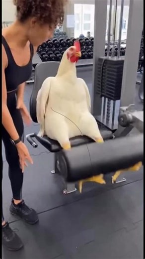 Such amazing feats of animals that you have never seen before 😱#animals #funnyanimals #animalvide...