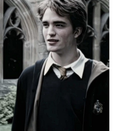 Explore the Magic of Harry Potter: Sirius Black and Cedric Diggory
