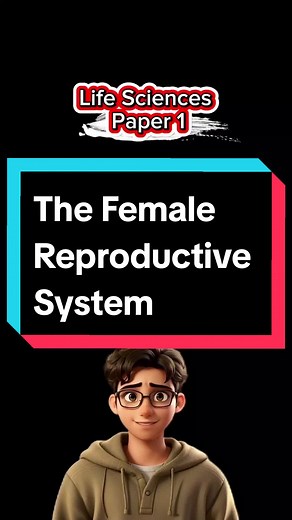 Life Sciences Paper 1: The female Reproductive System ⚡️📚💡 #exam #matricexams #matric #studytok #study #crashcoursecentral #biology #lifesciences #crashcoursecentral #reproduction #lifesciences #femalereproductivesystem