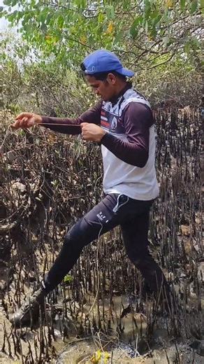 Crab Catching||सुक्या जागेवर पगोली टाकून पकडला चिंबोरा.#crab#Crabcatching#NetCrab#shorts#Viral