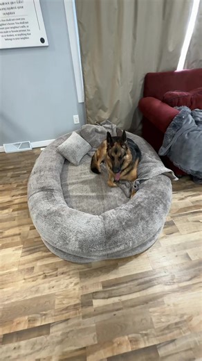 Huge Dog Bed #dogbed