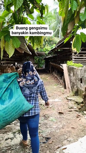 24K views · 201 reactions | Irt ternak kambing | Peternakan Dan Pertanian | Facebook