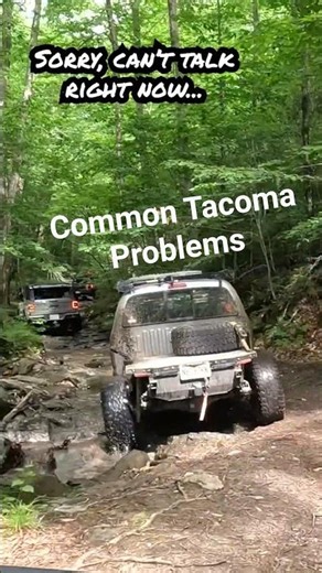 Should I start streaming while were on live stream? #toyotatacoma #4wheel
