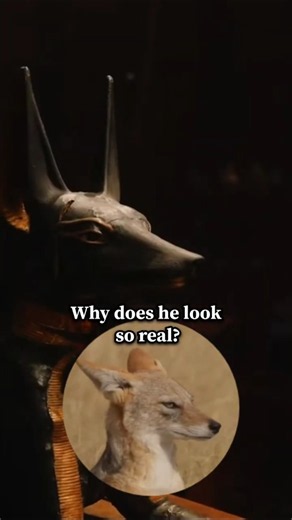 Anubis: The Mysterious Guardian of Tutankhamun’s Tomb