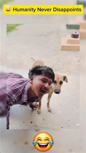 😆 Humanity Never Disappoints