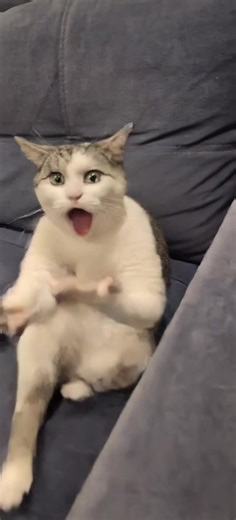 С днём рождения 💐 | Happy Birthday