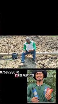 Essential for successful market gardening