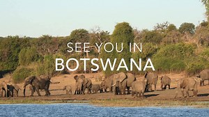 Discover Botswana, home of over 50,000 elephants and a high concentration of other wildlife. SafariBookings helps you to find your perfect Safari experience. | SafariBookings