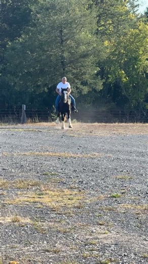 2K views | Sam Samantha Walker on Reels | Facebook