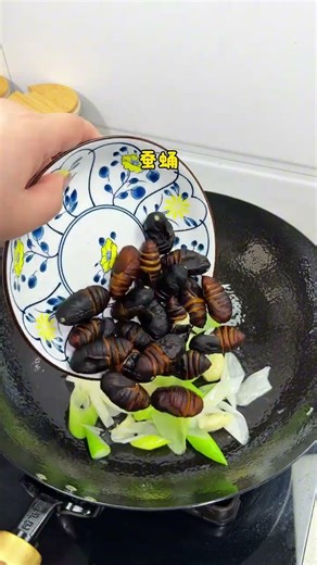 Dare to Taste the Delight? Silkworm Pupae - A Nutritious Surprise