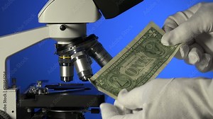 verification of the dollar in the microscope Stock Video