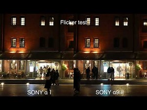 PRONEWS 特集「α9 III Review」ソニー「α9 III」を写真と動画の観点からレビューVol.02