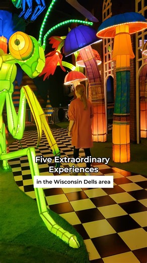 46K views · 265 reactions | The Wisconsin Dells area features unique sandstone formations, lots of waterparks, and, of course, plenty of wonderfully weird experiences you can't find anywhere else! 1) Ripley's Believe It or Not-Wisconsin Dells 2) Museum of Root Beer 3) The House on the Rock 4) Top Secret, A Highly Classified Experience 5) Cheese Ball Croquet | Wisconsin Dells Visitor & Convention Bureau | Facebook
