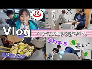 ★Vlog★ Kanna-san: I got a stink bug when I redecorated my room!? The first day of the year