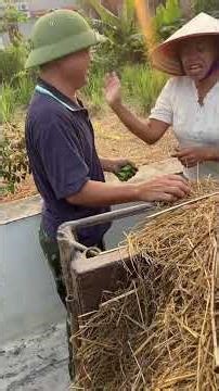 Are you dragging each other into the haystack just to get itchy...?