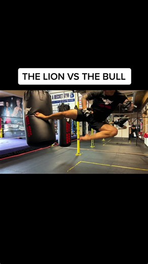 #punchbag #bulldozafightwear #heavybag #boxing #waterpunchbag #mma #kickboxing