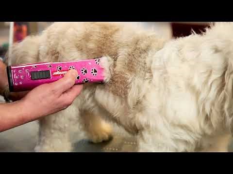 Heiniger Saphir Pink Edition